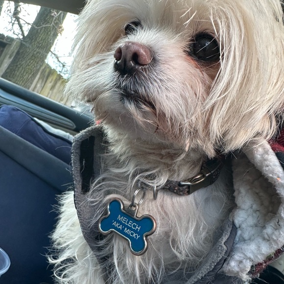 Meet your Posher, Nate - Picture 2 of 3